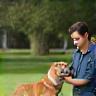Cours particulier chien et éducateur en extérieur
